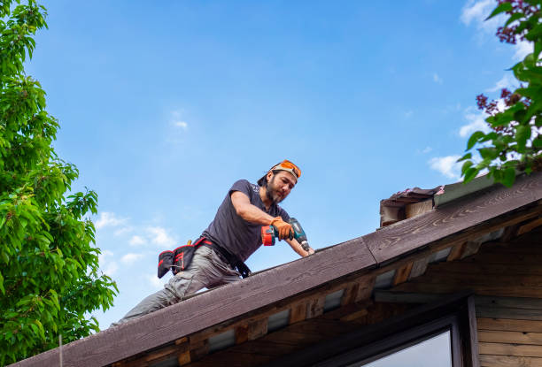 Best Roof Ventilation Installation  in Volga, SD