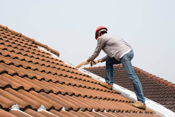 Best Wood Shake Roofing  in Volga, SD
