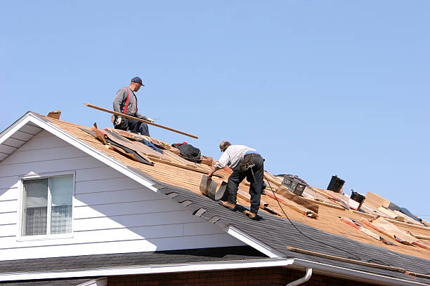 Best Asphalt Shingle Roofing  in Volga, SD